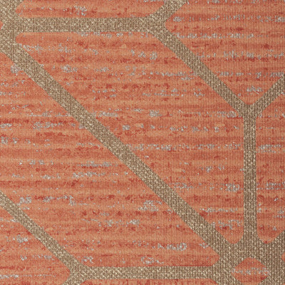 Radius Trellis Cayenne by Winfield Thybony Wallcovering