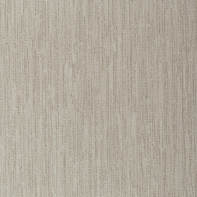 Timberland Birch by Winfield Thybony Wallcovering