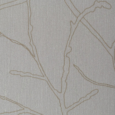 Sycamore Dawn by Winfield Thybony Wallcovering