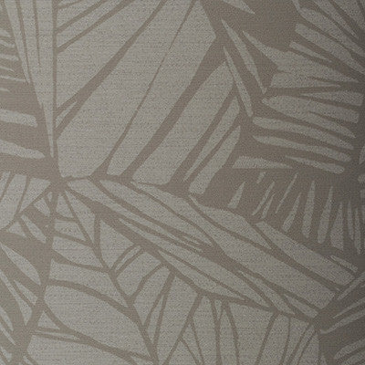 Phoenix Jasmin by Winfield Thybony Wallcovering