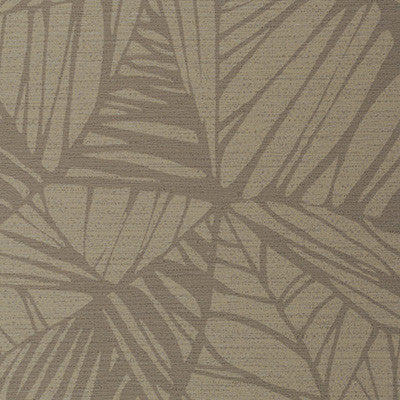 Phoenix Birch by Winfield Thybony Wallcovering