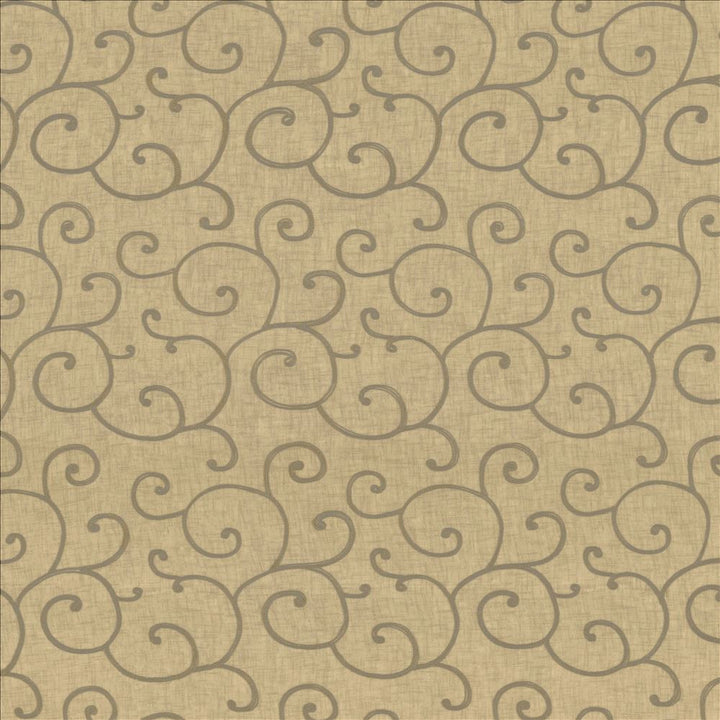 Whirl Away Grey by Kasmir Fabric 5077 100% Polyester
Embroidery
100% Polyester
 CHINA Not Tested </p><p>Repeat: Horizontal: 8 6/8 inches and Vertical: 11 4/8 inches 45 - Fabric Carolina -