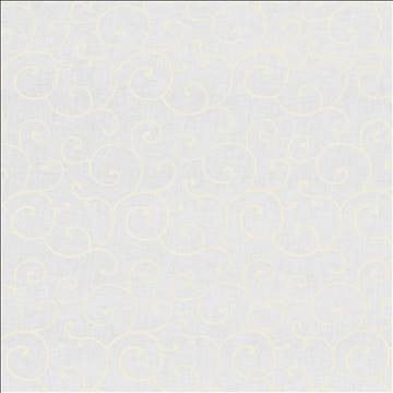 Whirl Away Snowflake by Kasmir Fabric 5077 100% Polyester Embroidery Contents 100% Polyester CHINA Not Tested H: 8 6/8 inches, V: 11 4/8 inches 58 - 59 - Fabric Carolina - Kasmir