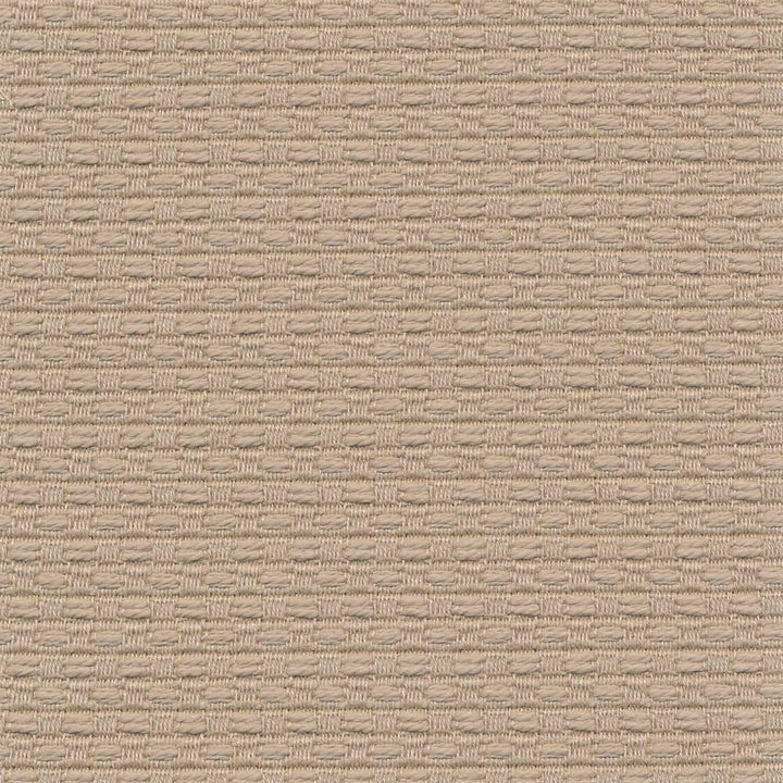 Wicker Birch by Kasmir Fabric 1409 ISRAEL 15,000 Wyzenbeek Double Rubs H: 3/8 inches, V:3/8 inches 54 - 55 - Fabric Carolina - Kasmir