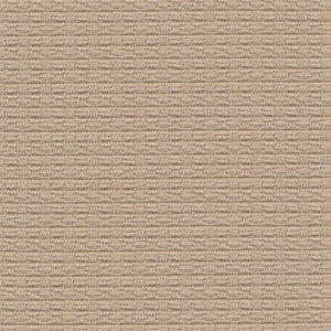 Wicker Birch by Kasmir Fabric