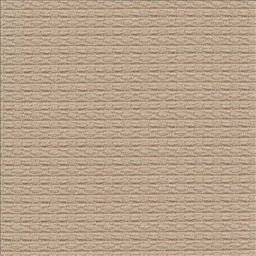 Wicker Birch by Kasmir Fabric 1409 100% Cotton ISRAEL 15,000 Wyzenbeek Double Rubs H: 3/8 inches, V: 3/8 inches 54 - 55 - Fabric Carolina - Kasmir