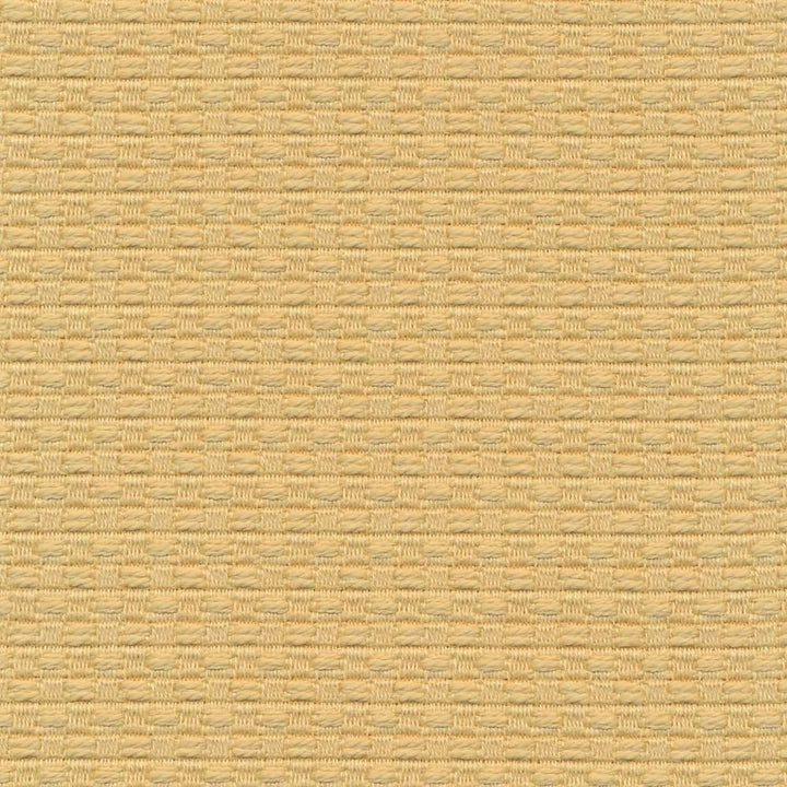 Wicker Custard by Kasmir Fabric 1409 ISRAEL 15,000 Wyzenbeek Double Rubs H: 3/8 inches, V:3/8 inches 54 - 55 - Fabric Carolina - Kasmir