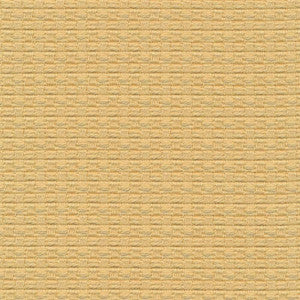 Wicker Custard by Kasmir Fabric