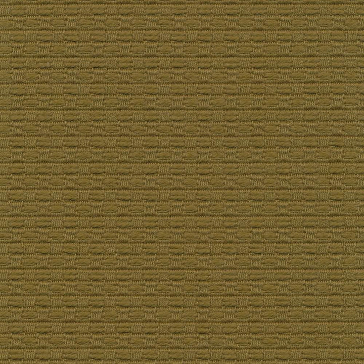 Wicker Forest  by Kasmir Fabric See sample 100% Cotton
 ISRAEL 15,000 Wyzenbeek Double Rubs </p><p>Repeat: Horizontal: 3/8 inches and Vertical: 3/8 inches 54  - Fabric Carolina -