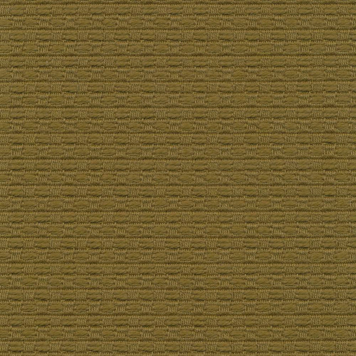 Wicker Forest by Kasmir Fabric 1409 ISRAEL 15,000 Wyzenbeek Double Rubs H: 3/8 inches, V:3/8 inches 54 - 55 - Fabric Carolina - Kasmir