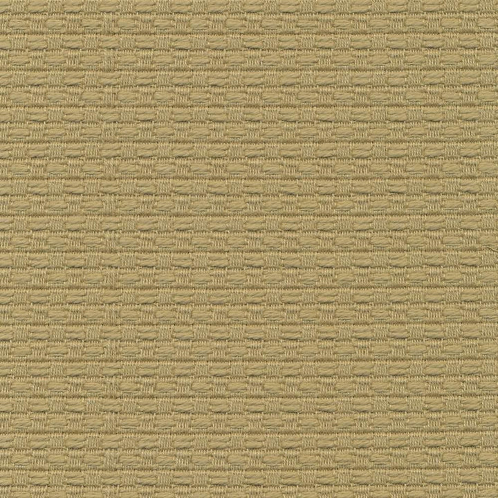 Wicker Grass by Kasmir Fabric 1409 100% Cotton
 ISRAEL </p><p>Repeat: Horizontal: 3/8 inches and Vertical: 3/8 inches 54 - 55 - Fabric Carolina -