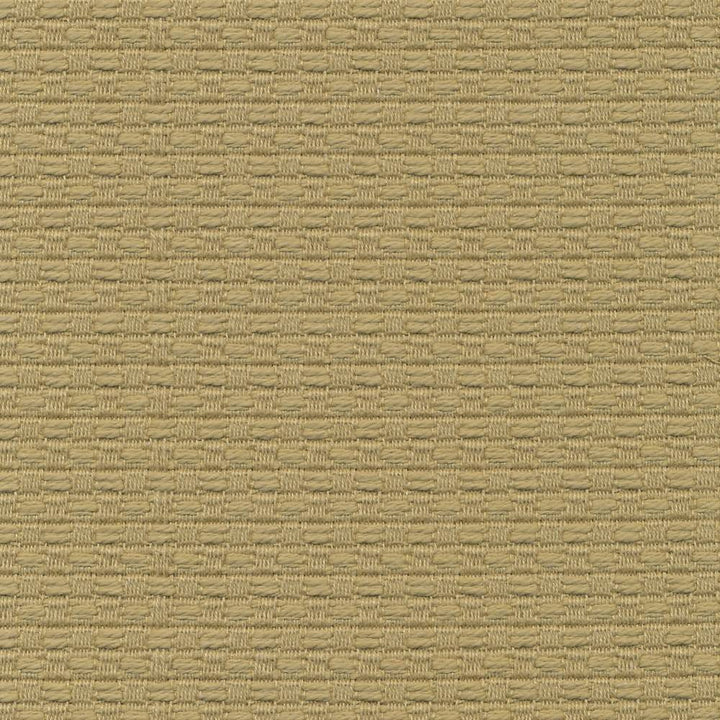 Wicker Grass by Kasmir Fabric 1409 ISRAEL 15,000 Wyzenbeek Double Rubs H: 3/8 inches, V:3/8 inches 54 - 55 - Fabric Carolina - Kasmir