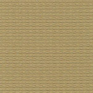 Wicker Grass by Kasmir Fabric
