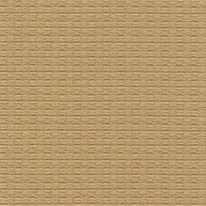 Wicker Linden by Kasmir Fabric 1409 ISRAEL 15,000 Wyzenbeek Double Rubs H: 3/8 inches, V:3/8 inches 54 - 55 - Fabric Carolina - Kasmir