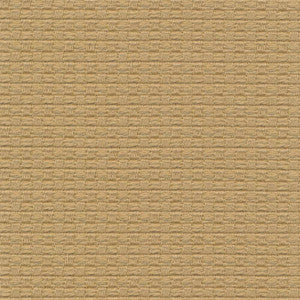 Wicker Linden by Kasmir Fabric