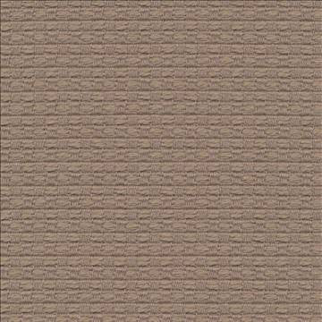 Wicker Pebble by Kasmir Fabric 1409 100% Cotton ISRAEL 15,000 Wyzenbeek Double Rubs H: 3/8 inches, V: 3/8 inches 54 - 55 - Fabric Carolina - Kasmir
