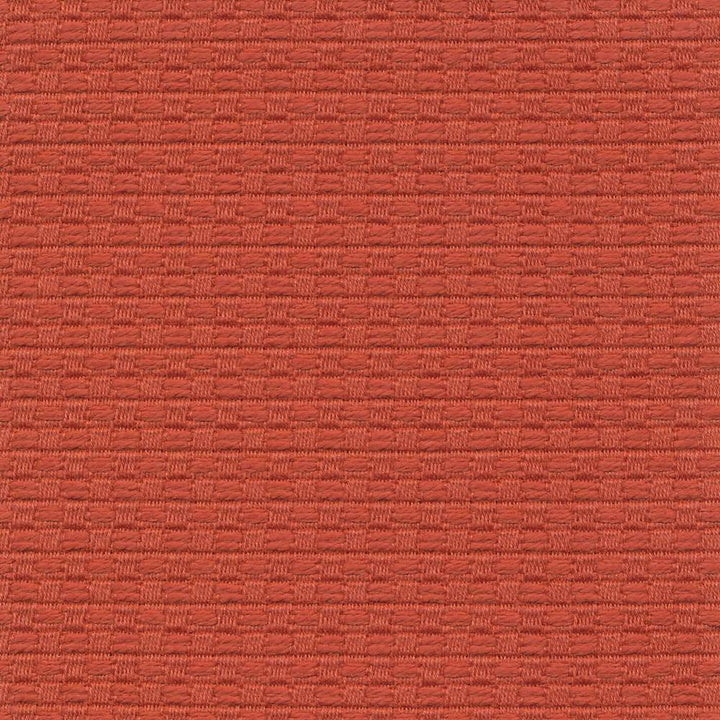 Wicker Persimmon by Kasmir Fabric 1409 ISRAEL 15,000 Wyzenbeek Double Rubs H: 3/8 inches, V:3/8 inches 54 - 55 - Fabric Carolina - Kasmir