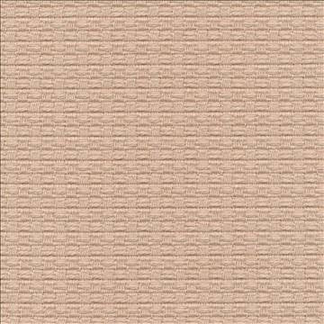 Wicker Sand by Kasmir Fabric 1409 100% Cotton ISRAEL 15,000 Wyzenbeek Double Rubs H: 3/8 inches, V: 3/8 inches 54 - 55 - Fabric Carolina - Kasmir