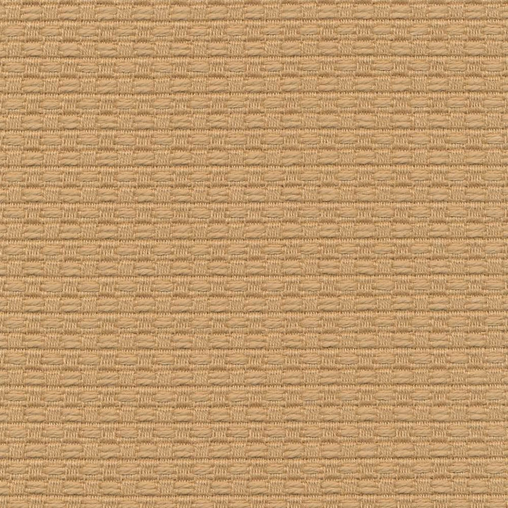 Wicker Straw by Kasmir Fabric 1409 100% Cotton
 ISRAEL 15,000 Wyzenbeek Double Rubs Horizontal: 3/8 inches and Vertical: 3/8 inches 54 - Fabric Carolina -