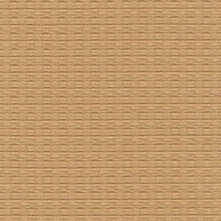 Wicker Straw by Kasmir Fabric 1409 ISRAEL 15,000 Wyzenbeek Double Rubs H: 3/8 inches, V:3/8 inches 54 - 55 - Fabric Carolina - Kasmir