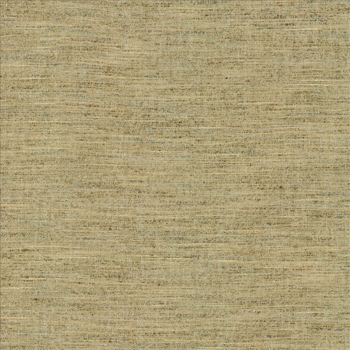 Willa Jade by Kasmir Fabric 1461 100% Polyester
 INDIA 30,000 Wyzenbeek Double Rubs </p><p>Repeat: Horizontal: N/A and Vertical: N/A 56 - Fabric Carolina -