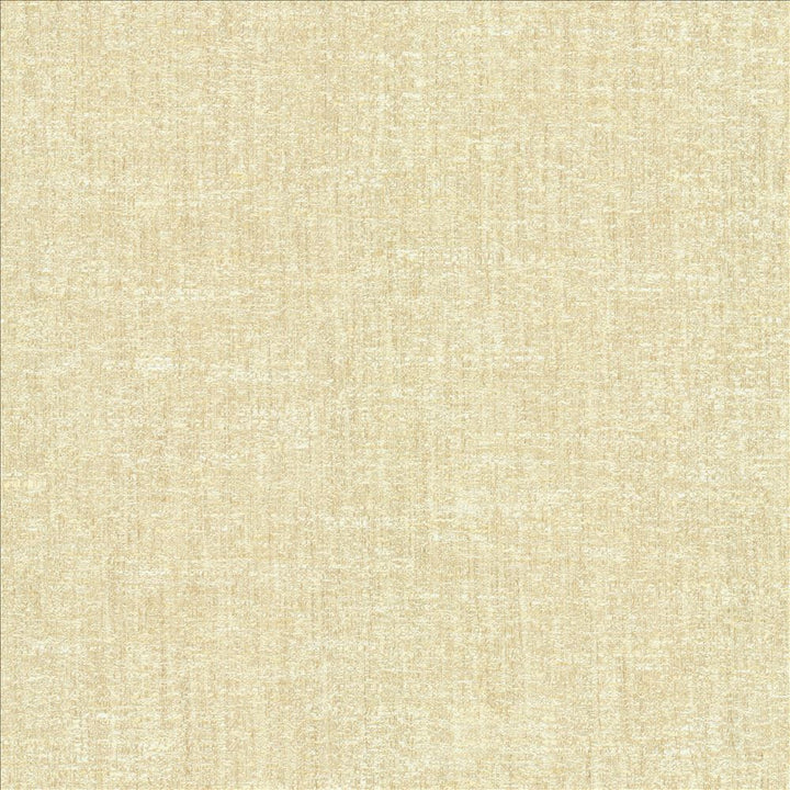 Willa Marble by Kasmir Fabric 1461 100% Polyester
 INDIA 30,000 Wyzenbeek Double Rubs </p><p>Repeat: Horizontal: N/A and Vertical: N/A 56 - Fabric Carolina -