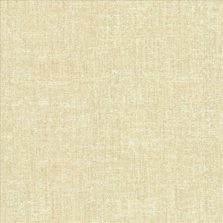 Willa Marble by Kasmir Fabric 1461 100% Polyester
 INDIA </p><p>Repeat: Horizontal: N/A and Vertical: N/A 56 - Fabric Carolina -