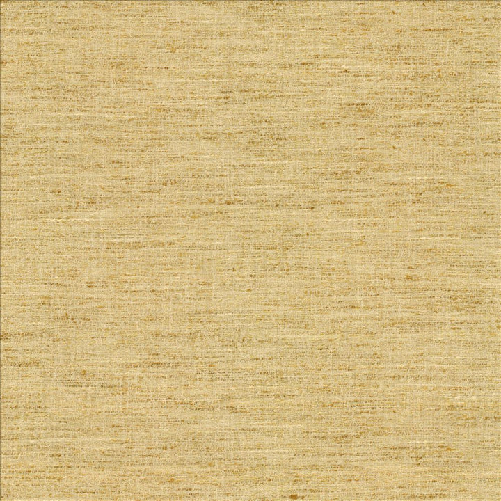 Willa Midas by Kasmir Fabric 1461 100% Polyester
 INDIA 30,000 Wyzenbeek Double Rubs Horizontal: N/A and Vertical: N/A 56 - Fabric Carolina -