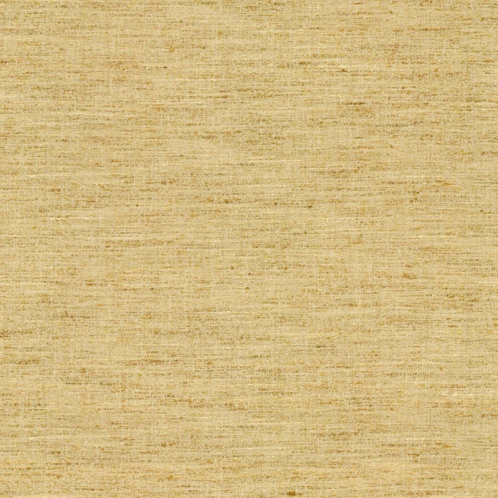 Willa Midas by Kasmir Fabric 1461 100% Polyester
 INDIA </p><p>Repeat: Horizontal: N/A and Vertical: N/A 56 - Fabric Carolina -