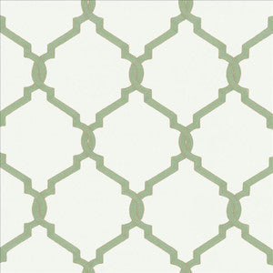 Willow Bend Spa by Kasmir Fabric