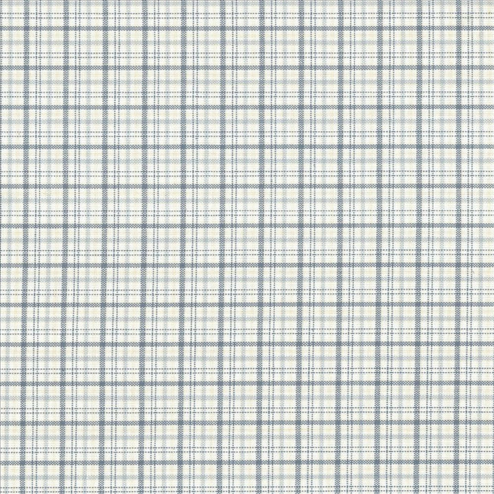 Willow Plaid Denim  by Kasmir Fabric 5081 100% Cotton  INDIA  </p><p>Repeat: Horizontal: 7/8 inches and Vertical: 7/8 inches 55  - Fabric Carolina -