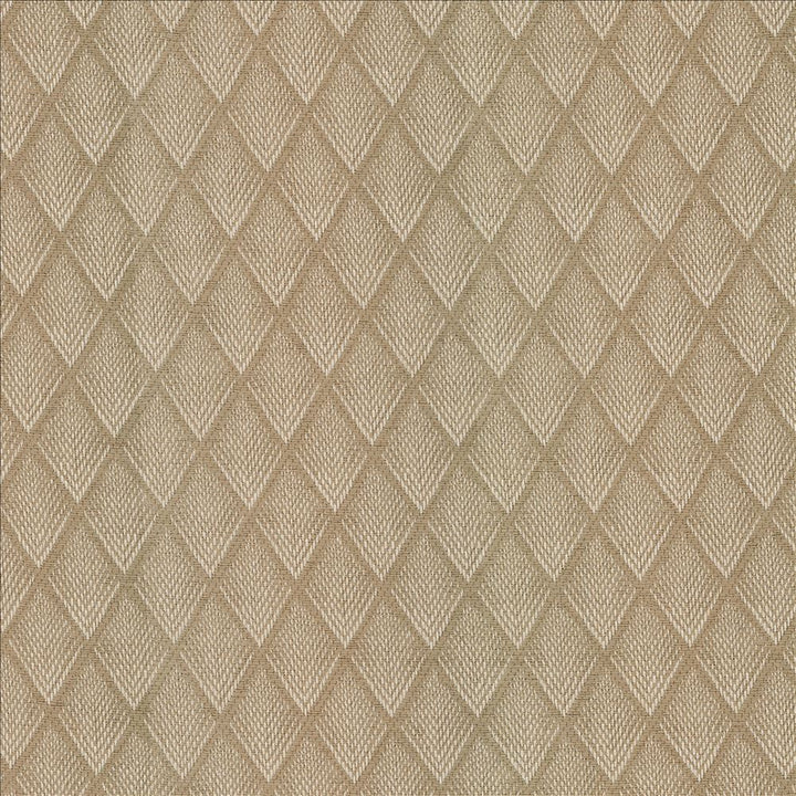 Winamac Flax  by Kasmir Fabric 5185 100% Polyester  TURKEY  </p><p>Repeat: Horizontal: 1 6/8 inches and Vertical: 2 6/8 inches 54  - Fabric Carolina -