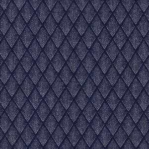 Winamac Navy  by Kasmir Fabric