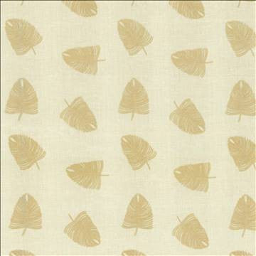 Windblown Ivory by Kasmir Fabric 1443 65% Linen 35% Cotton Embroidery Contents 56% Linen 37% Viscose 7% Polyester INDIA Not Tested H: 13 4/8 inches, V: 15 2/8 inches 54 - Fabric Carolina - Kasmir