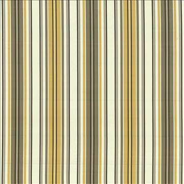 Windsor Stripe Amber by Kasmir Fabric 1421 50% Cotton 50% Polyester INDIA 50,000 Wyzenbeek Double Rubs H: 14 inches, V: N/A 56 - Fabric Carolina - Kasmir