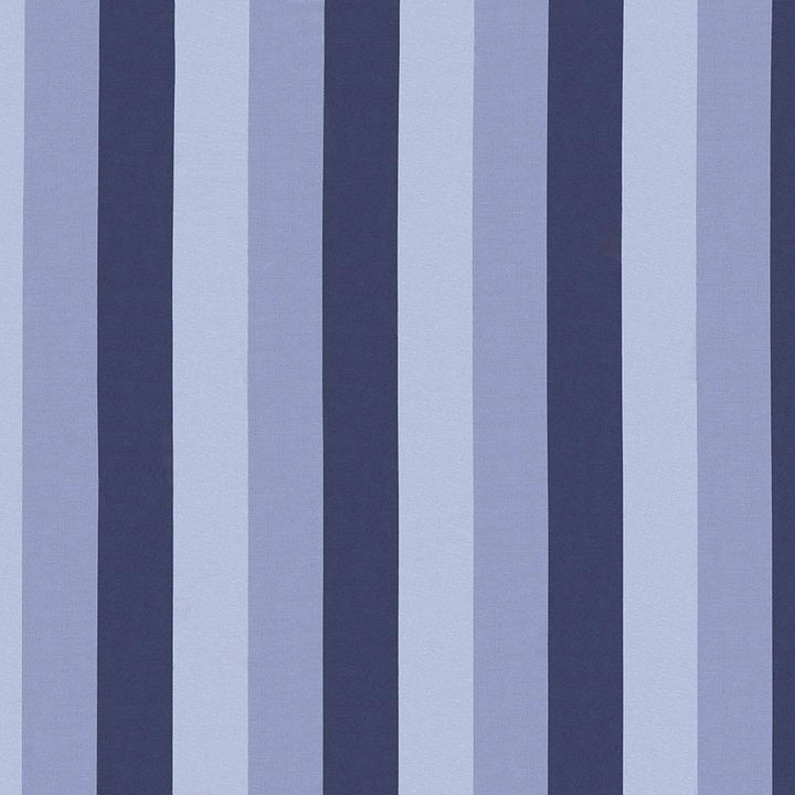Winette Stripe Blue Star by Kasmir Fabric 1421 TAIWAN 100,000 Wyzenbeek Double Rubs H: 6 7/8 inches, V:N/A 54 - 57 - Fabric Carolina - Kasmir