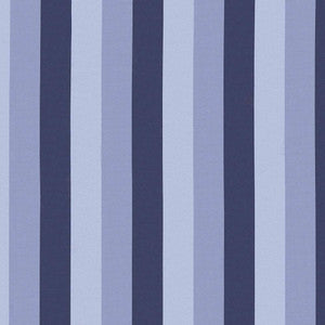 Winette Stripe Blue Star by Kasmir Fabric