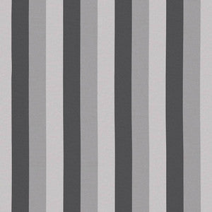Winette Stripe Half Moon by Kasmir Fabric