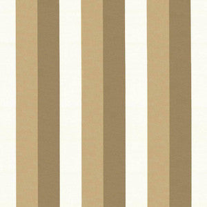 Winette Stripe Satinwood by Kasmir Fabric