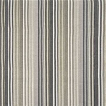Winslet Pewter by Kasmir Fabric 1372 100% Polyester INDIA 30,000 Wyzenbeek Double Rubs H: 14 1/8 inches, V: N/A 57 - Fabric Carolina - Kasmir