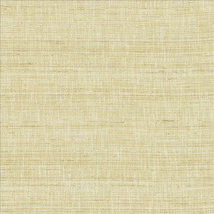 With A View Barley by Kasmir Fabric