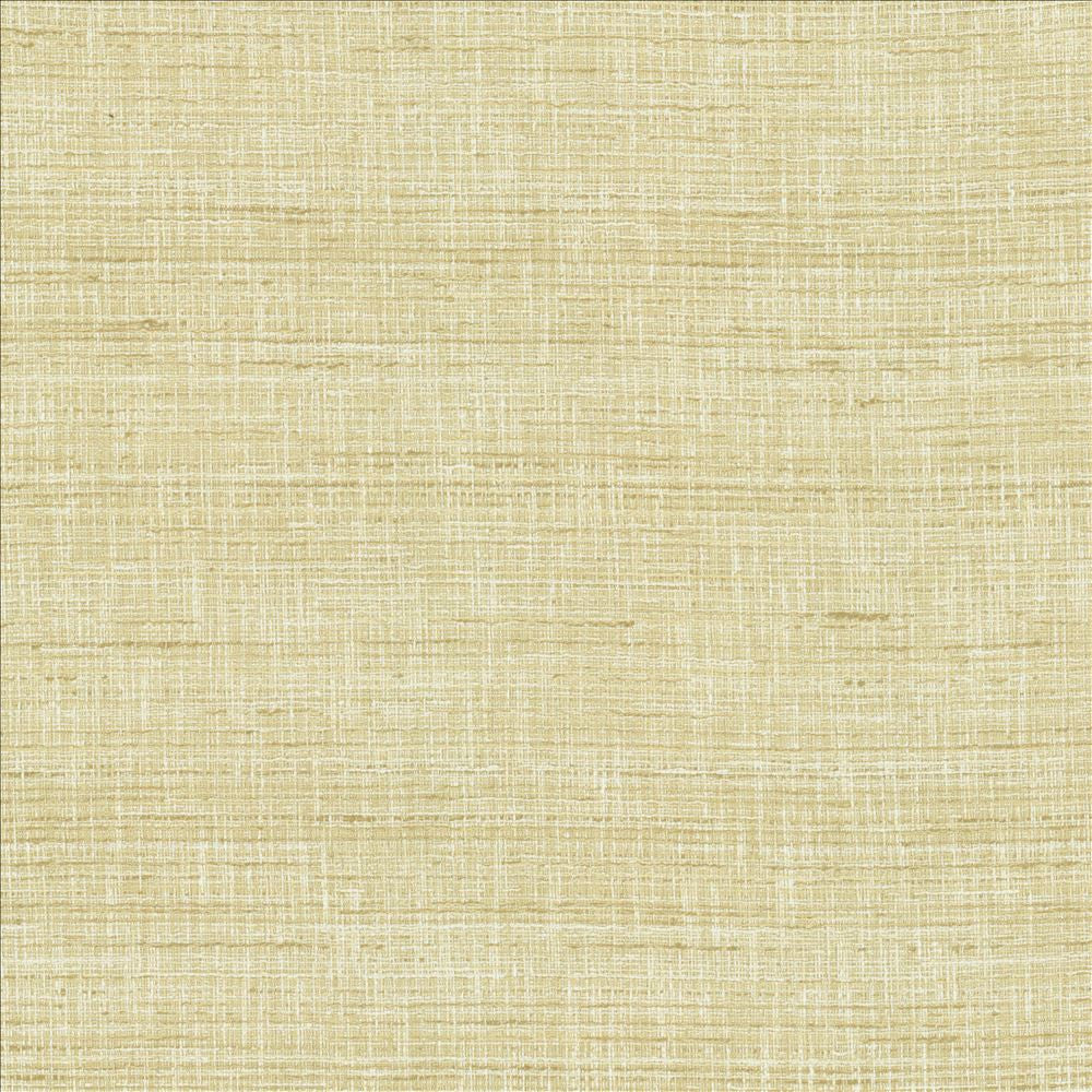 With A View Barley by Kasmir Fabric 5170 63% Polyester
37% Cotton
 INDIA 50,000 Wyzenbeek Double Rubs </p><p>Repeat: Horizontal: N/A and Vertical: N/A 54 - Fabric Carolina -