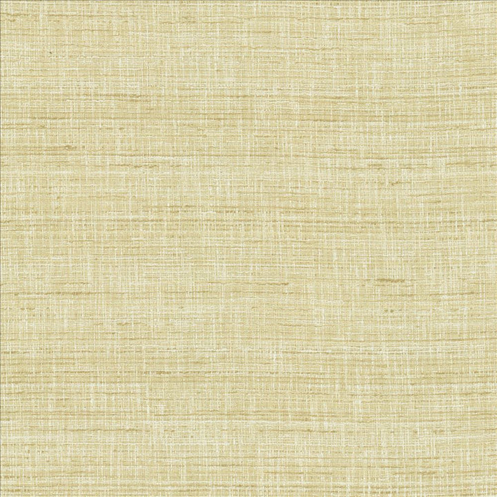 With A View Barley by Kasmir Fabric 5170 63% Polyester
37% Cotton
 INDIA 50,000 Wyzenbeek Double Rubs </p><p>Repeat: Horizontal: N/A and Vertical: N/A 54 - Fabric Carolina -