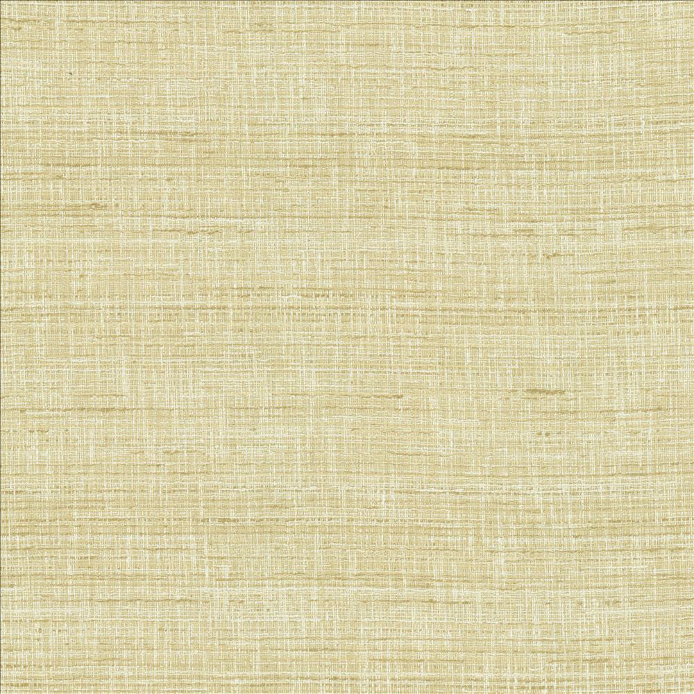 With A View Barley  by Kasmir Fabric See sample 63% Polyester
37% Cotton
 INDIA 50,000 Wyzenbeek Double Rubs </p><p>Repeat: Horizontal: N/A and Vertical: N/A 54  - Fabric Carolina -