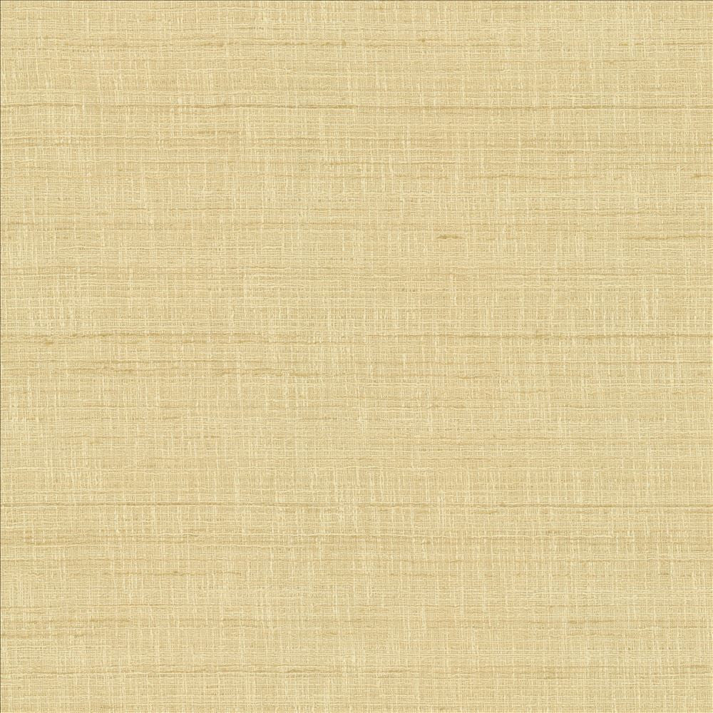 With A View Beige by Kasmir Fabric 5170 63% Polyester
37% Cotton
 INDIA 50,000 Wyzenbeek Double Rubs </p><p>Repeat: Horizontal: N/A and Vertical: N/A 54 - Fabric Carolina -