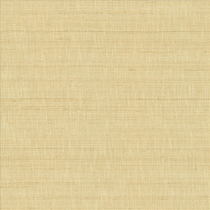 With A View Beige by Kasmir Fabric 5170 63% Polyester
37% Cotton
 INDIA 50,000 Wyzenbeek Double Rubs </p><p>Repeat: Horizontal: N/A and Vertical: N/A 54 - Fabric Carolina -