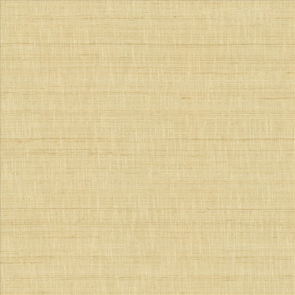 With A View Beige  by Kasmir Fabric See sample 63% Polyester
37% Cotton
 INDIA 50,000 Wyzenbeek Double Rubs </p><p>Repeat: Horizontal: N/A and Vertical: N/A 54  - Fabric Carolina -