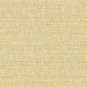 With A View Beige by Kasmir Fabric