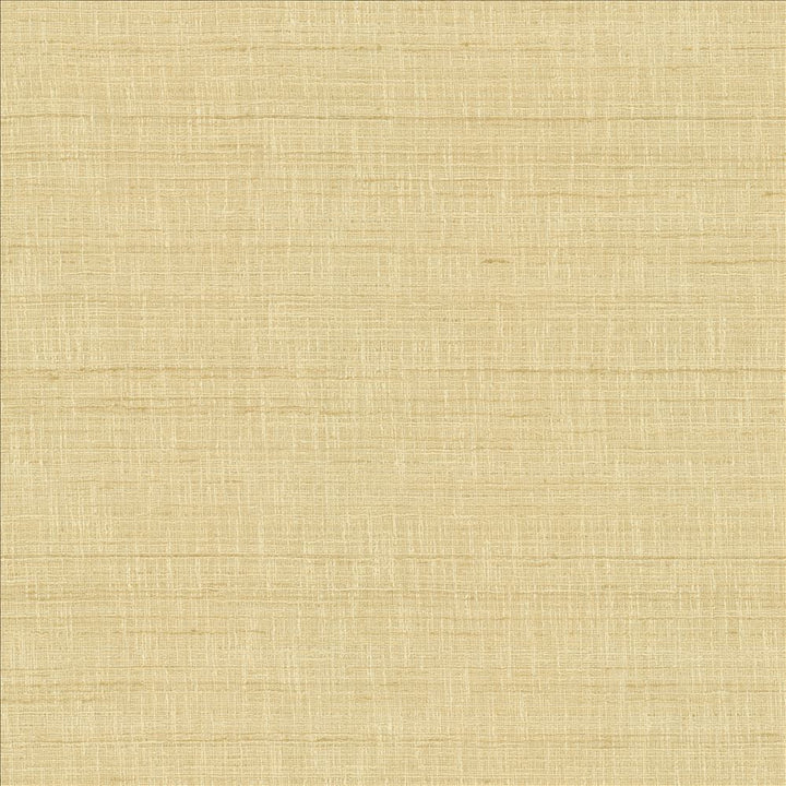 With A View Beige by Kasmir Fabric 5170 63% Polyester
37% Cotton
 INDIA </p><p>Repeat: Horizontal: N/A and Vertical: N/A 54 - Fabric Carolina -