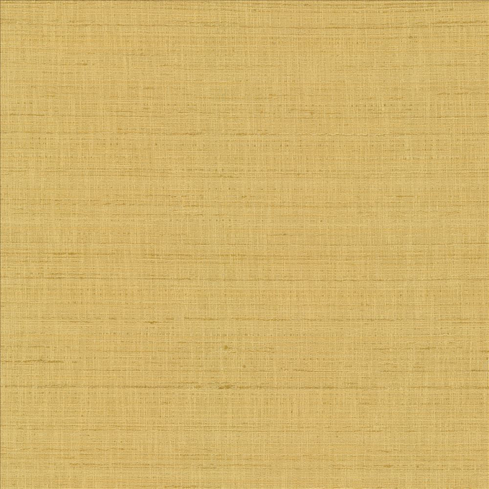 With A View Camel by Kasmir Fabric 5170 63% Polyester
37% Cotton
 INDIA </p><p>Repeat: Horizontal: N/A and Vertical: N/A 54 - Fabric Carolina -